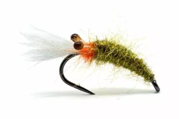 Hololoppa Seatrout shrimp fly