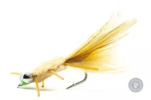 Rag Head Crab