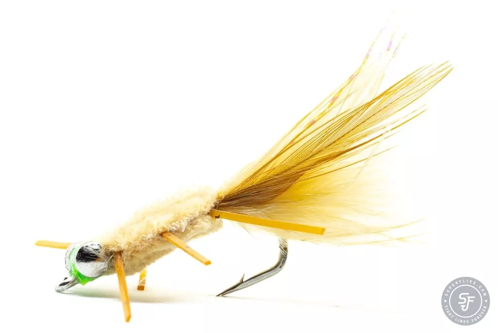 Rag Head Crab