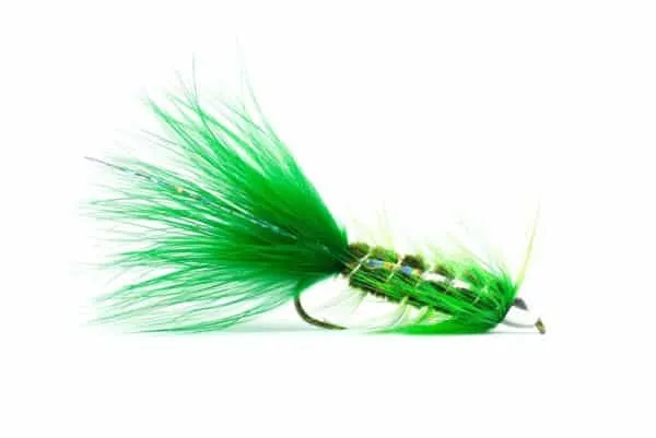 Conehead Bugger - Image 7