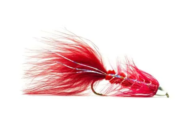 Conehead Bugger - Image 3