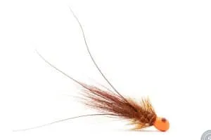 Brown Kursk with Orange head
