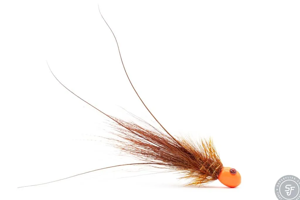 Brown Kursk with Orange head