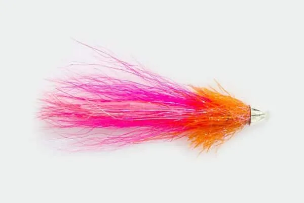 Baby Snaelda Tungsten Conehead - Image 4