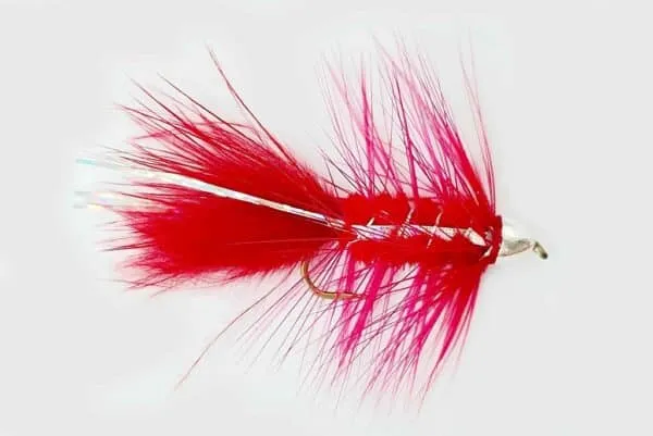 Conehead Bugger - Image 3
