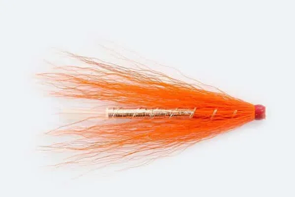 Raekja Shrimp