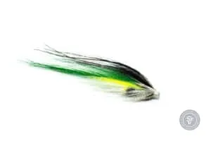 Eine dunklere Version der Silver Grey Tubenfliege