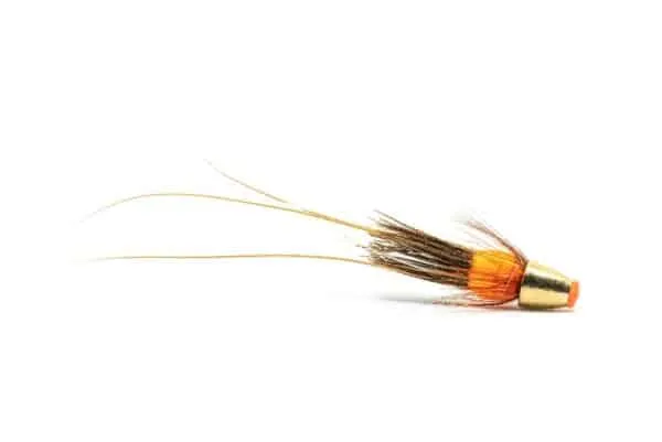 Orange Frances conehead tied on an UV tube
