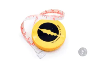Vision Fish measure