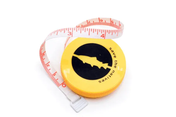 Vision Fish measure