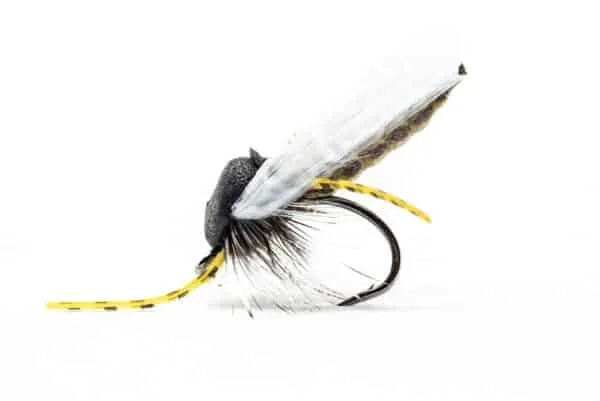 Waffle Foam Bee tan