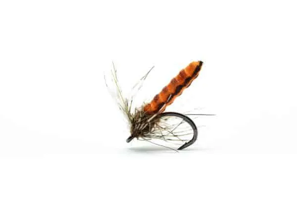 Waffle Foam Pupa - Image 2