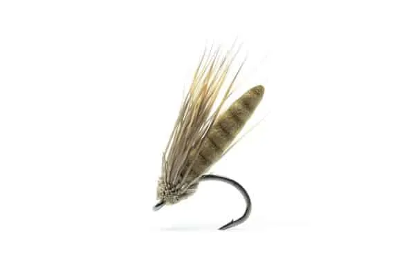 Streaking Waffle Caddis - Image 3