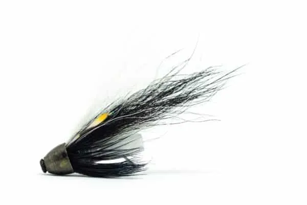 Zebra Micro Conehead