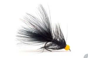 Wolly Bugger Black fly