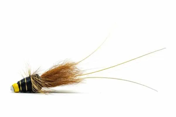 Black Frances tungsten tube fly