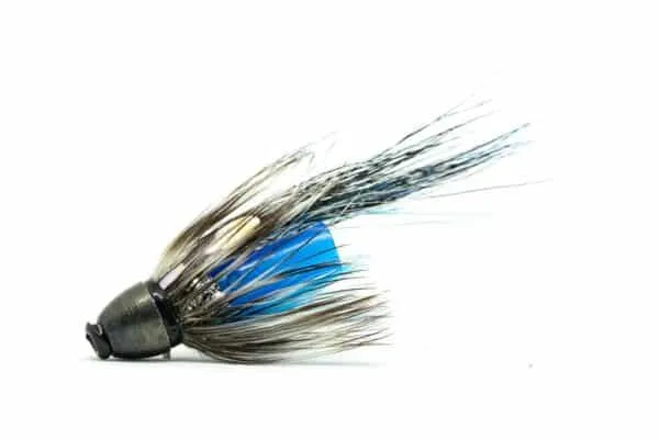 Blue Zebra Micro Conehead