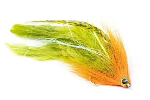 GT Hollow Deceiver - Image 2
