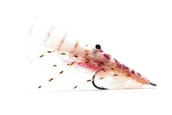 Pink Shrimp fly for coastal seatrout