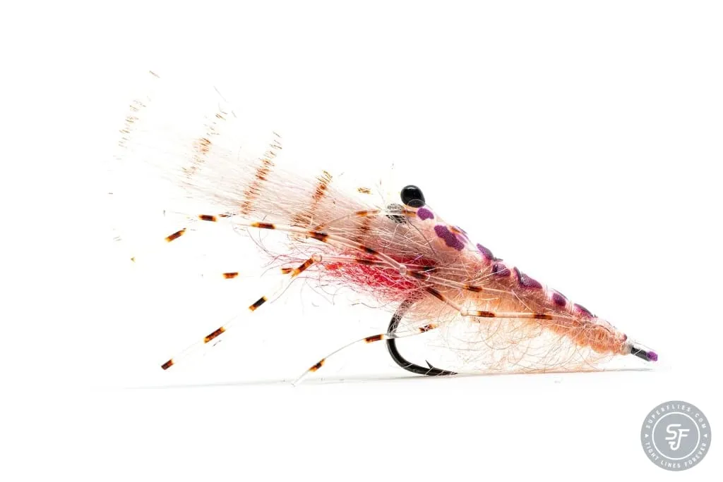 Pink Shrimp fly for coastal seatrout