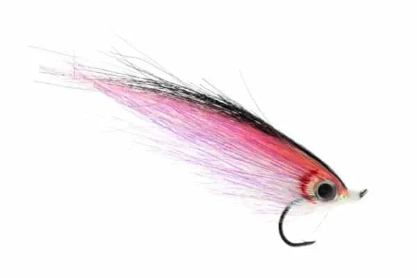 Baitfish Flash - Image 5
