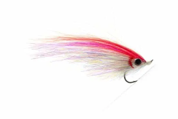 Baitfish Flash - Image 3