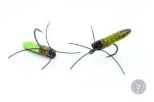 a chartreuse foam ismo pupa fly