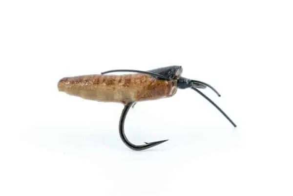 Foam Ismo Pupa - Image 5
