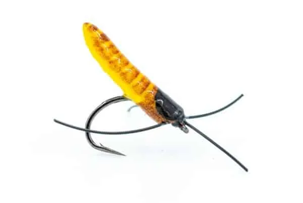Foam Ismo Pupa - Image 4