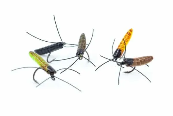 Foam Ismo Pupa - Image 2