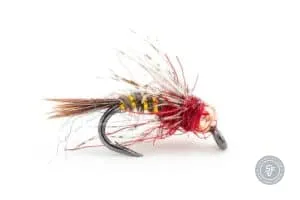 Pettirosso fly