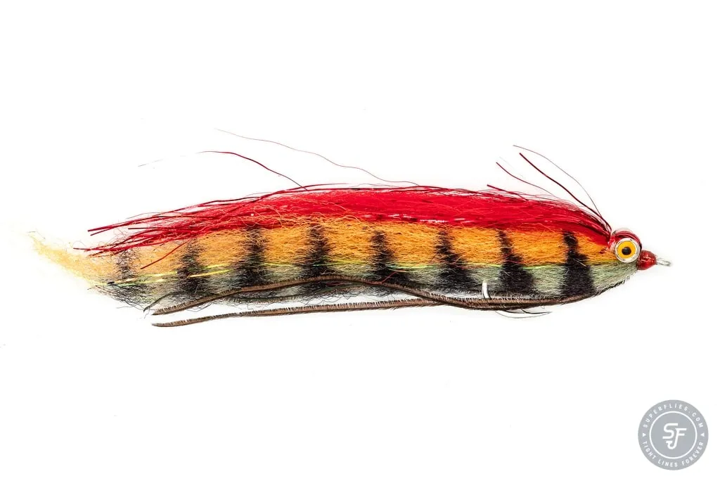 A striped clouser fly