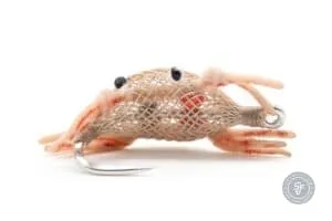 a tan crab fly with a hotspot