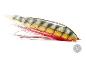 Large Peacokc Clouser predator fly
