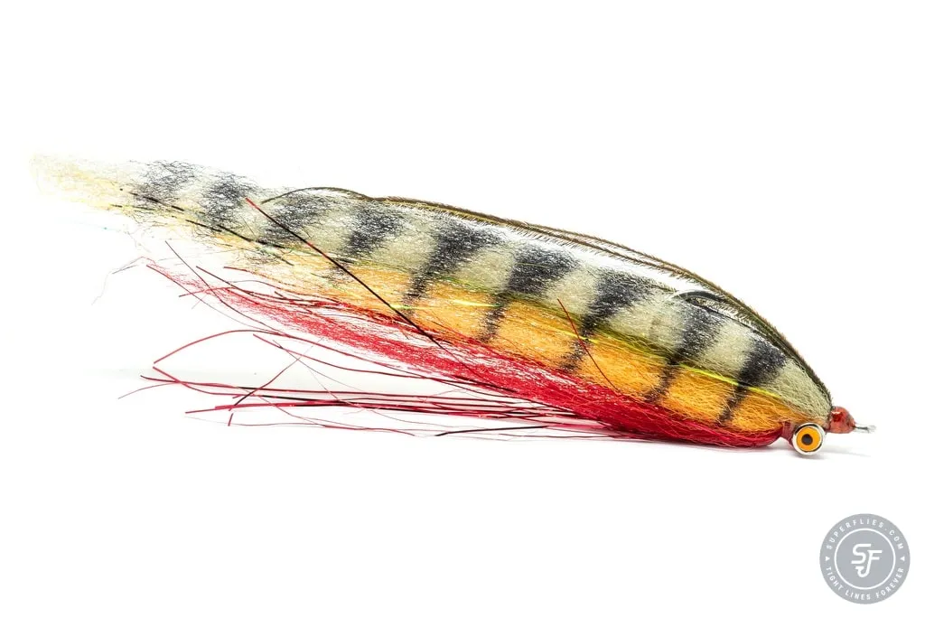 Large Peacokc Clouser predator fly