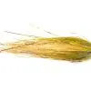 Dirty Roach Pike Fly