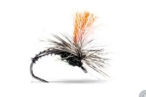 Klinkhämer dry fly with a grizzly hackle