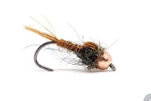 Pheasant Tail Nymph with a copper beadhead