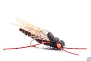Overworked Cicada Fly
