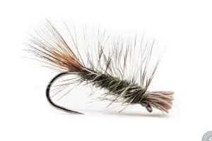 An olive Dyret fly