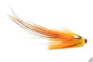 Orange Flaming Pig Tube
