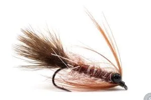 Autumn Fly