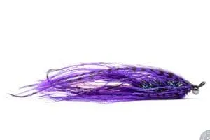 Purple & Black Intruder