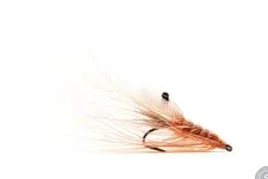 Pettegreisen-CS54-Superflies