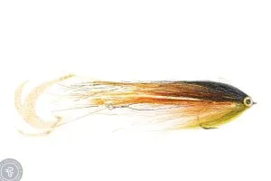 Dragontail Pike Fly